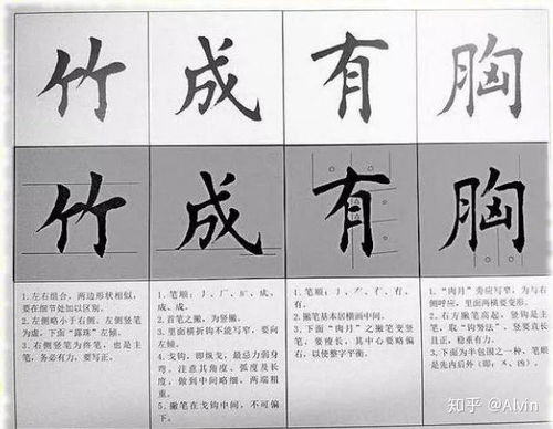 笔墨伺候4种类型全解析，新手练硬笔书法避坑，2周写出职场加分字