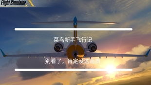 模拟飞行10（FSX），跳过新手劝退期的拟真玩法+插件优化核心技巧
