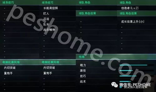 实况2013怀旧党进阶，解锁隐藏妖人+120帧优化+无延迟联机实操