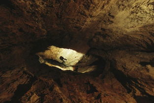 洞穴探险，从类型细分到绝境自救的实战干货，新手零踩坑