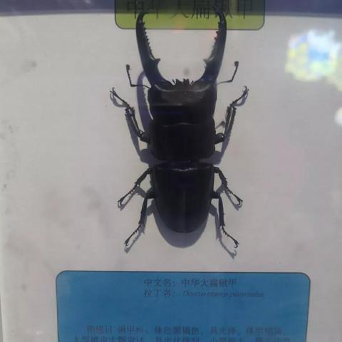 趣彩3核心类型全拆解，新手如何精准匹配热门盈利需求？