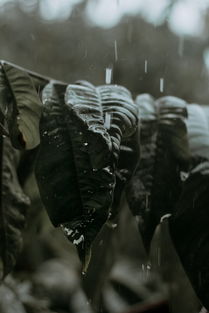 杀戮地带2怎么玩透？硬核FPS进阶，多人冲分+剧情隐藏全解析