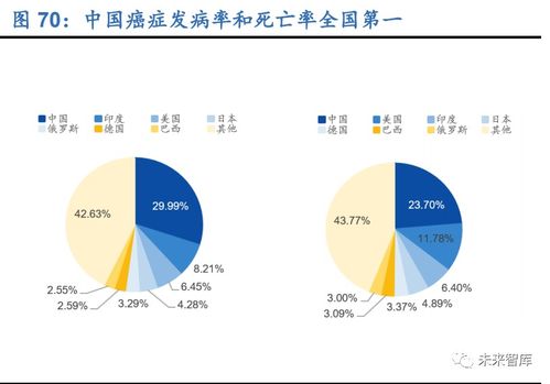 《珊瑚岛》全攻略揭秘：主线任务流程深度解析