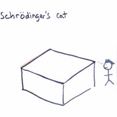 《量子通话：揭秘薛定谔的神秘电话》