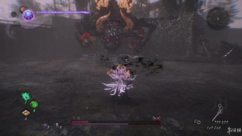 仁王3空亡BOSS攻略：高效打法解析，掌握新技巧