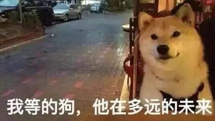 《喵喵结合三层攻略》深度解析：轮椅套路新玩法揭秘