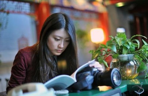 《喵喵结合》职业实力解析：揭秘顶尖职业谁更强