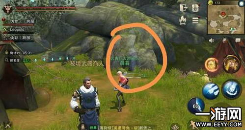 滨松秘境探宝：解锁千千古与滨松木灵宝藏攻略