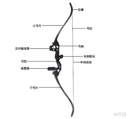 大弓类型深度拆解，精准匹配新手、狩猎、竞技、收藏的实战选购指南