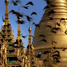 《地平线6》热度飙升，力压《杀戮尖塔2》跃居榜单第五，新锐之作瞩目登场