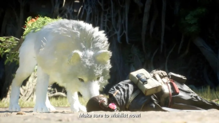 《轮回之兽》实机展示，一狗一人类新战力，发售日期同步揭晓！