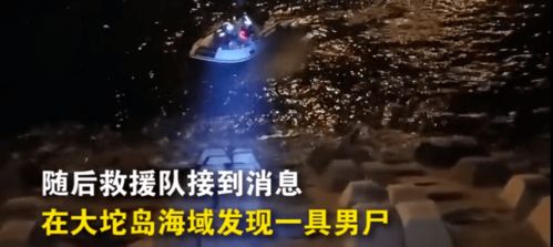 爱终将消逝，DeepSeek冷落引网友心碎，情感探索新篇章