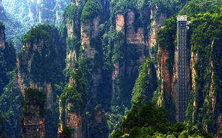 免费体验巫山神女扶梯，登高80层楼，畅享云端新体验