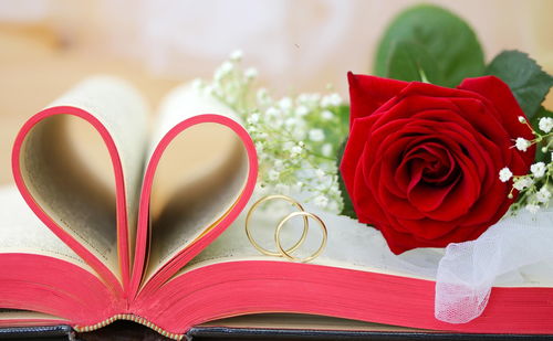 2026情人节玫瑰怎么选？10款匹配不同需求的热门&稀缺玫瑰全解析