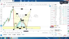 森林发夹赛道类型全拆解，匹配热门跑法需求，助你突破记录瓶颈
