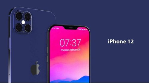 罗永浩私用iPhone曝光！拆解3大选机逻辑，适配直播/商务核心需求