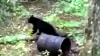 狲家悲歌：狲思邈遗孀孤女，三郎泪洒江湖