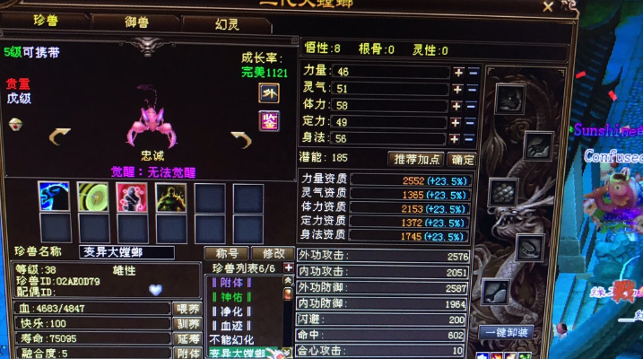 2026天龙八部宝宝装备深度攻略，匹配热门需求的类型拆解与选装技巧