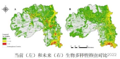 武陵种田布局优化：打造高效作物产线新策略