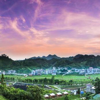 武陵省协议种田布局攻略：高效田地规划新思路