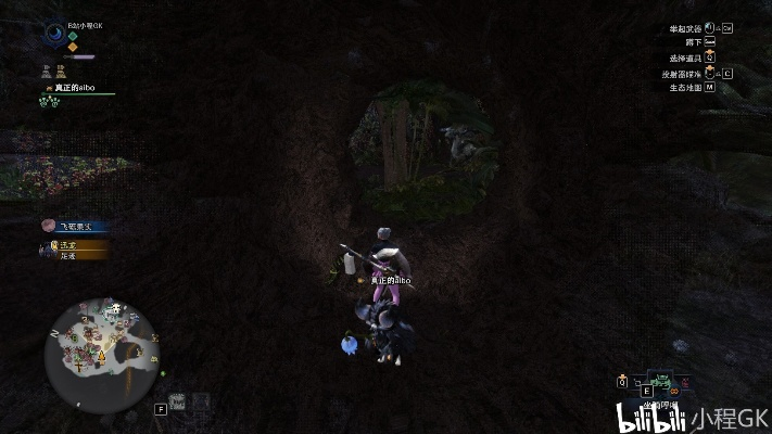 滨松秘境探宝：解锁千千古与滨松木灵收藏之旅