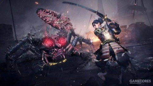 《仁王3》轮椅太刀输出秘籍：轮椅武士独门玩法大揭秘