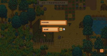 卡莉谷地童话攻略：深度解析拍照技巧与攻略秘籍