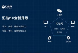 《喵喵融合秘籍》解锁攻略：揭秘职业成长路径