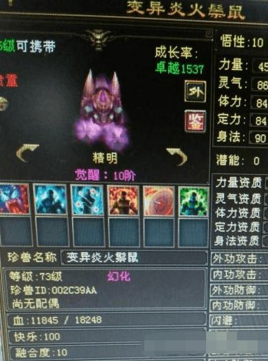 念珠小妖怎么用才香？新手过渡、怀旧收藏双场景实战打书+资质提升指南