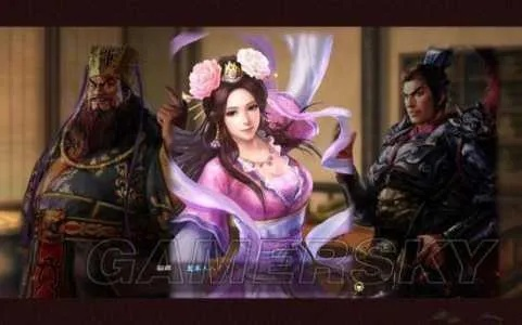 三国志13结婚类型全揭秘，触发条件、专属福利&热门武将婚配实战指南