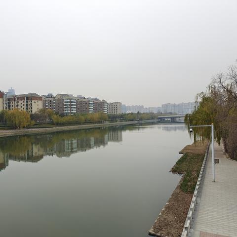 广告里竟插播春晚?河南春晚因广告太多登上热搜!