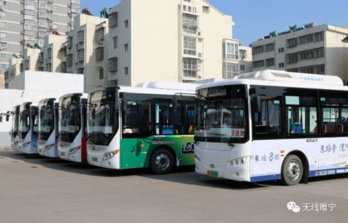 龙主类型怎么选？2026版本答案在这3条进化路线