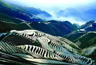 龙脊雪山严寒机制彻底破解，2025最新绯红玉髓全收集与隐藏宝箱速通路线