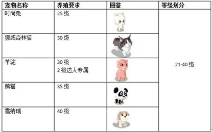 2025迷你心动宠物礼盒深度评测，这3个隐藏属性90%玩家不知道