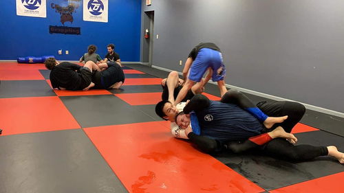 玩巴西柔术的韩国正妹李承美，求你对我使出地板技啦！