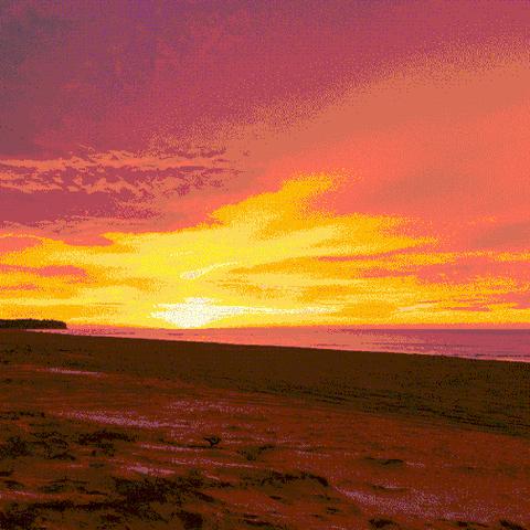 《生灵重塑》评测：动物本能