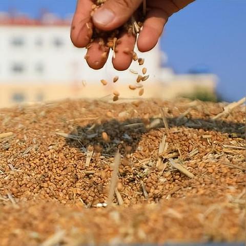 地主家也没有余粮真相，2025高净值人群现金流枯竭5大征兆与破局策略