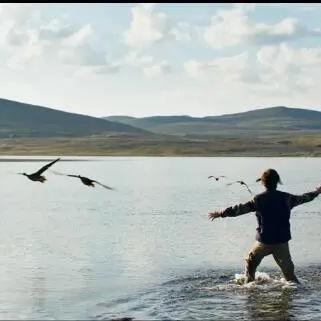 《生灵重塑》评测：动物本能