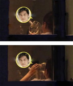 李亚鹏饮酒后83岁母亲开车接其回家：家有一宝 心有归处