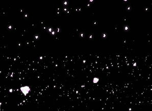 冰上流畅摇摆送飞吻 剑星体模申才恩新视频