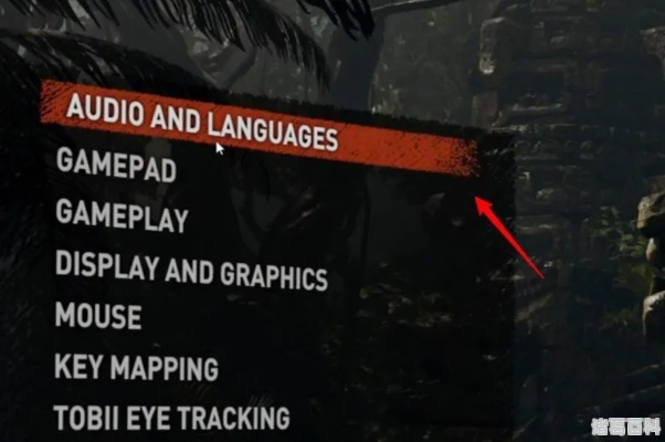 古墓丽影，崛起独家实测全平台中文设置终极攻略，搞定无中文、乱码、语音失效核心痛点