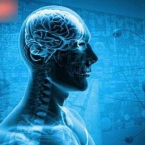 《黑神话：悟空》疑上春晚?小机器人披大圣铠甲 玩家调侃被夺舍