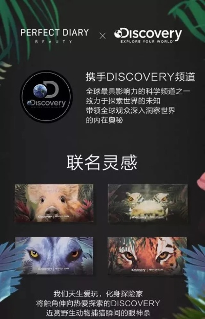 《奥日》总监批评行业现状：技术越来越强 审美却越来越“安全”