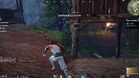 《森林之子》飞索绳视频获取教程