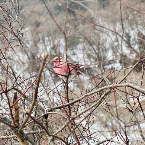 黄龙骑士团修改器哪款好用？全类型解析+热门需求实战避坑指南