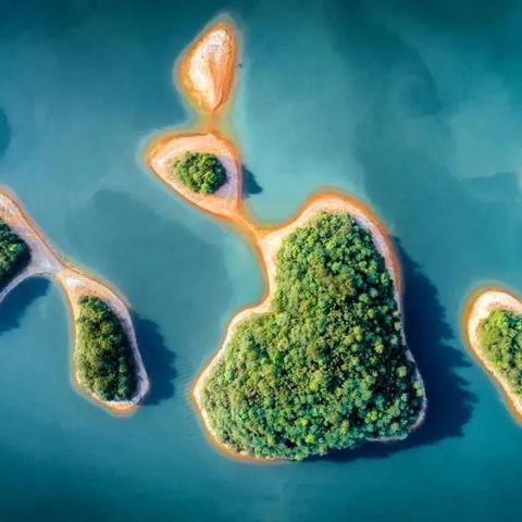 《羊了个羊》10.9攻略 羊了个羊第二关攻略10.9