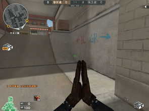 CF猎狐者裙底类型全解析，适配玩家热门需求的建模细节&定制攻略