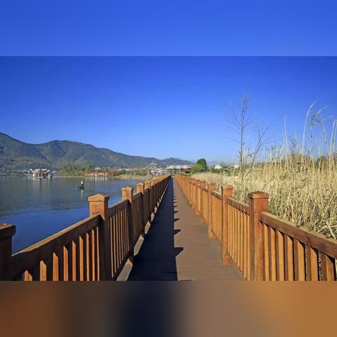 天堂精华怎么用才最值？类型细分、热门场景搭配+2026高效获取实战指南