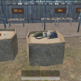 《绝地求生大逃杀》空投、决赛圈错误处理方法及建议