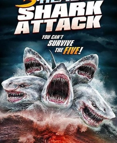 鲨鱼题材电视剧只知道鲨鱼？2025-2026三类爆款全解锁，附观剧避坑指南